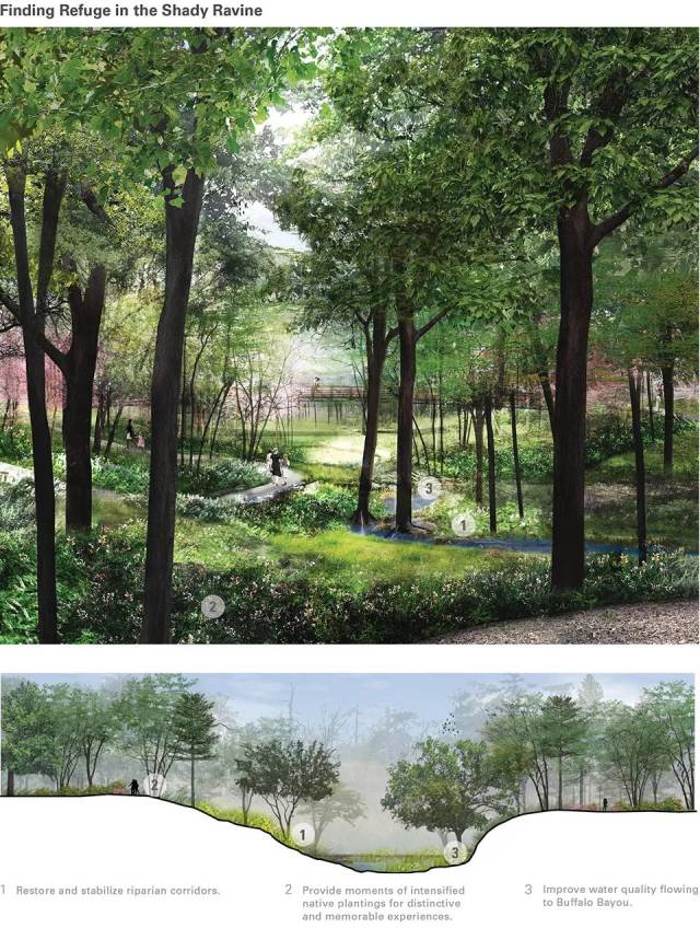 林地景观怎么做?看从毁坏到复原:休斯顿植物园和自然中心