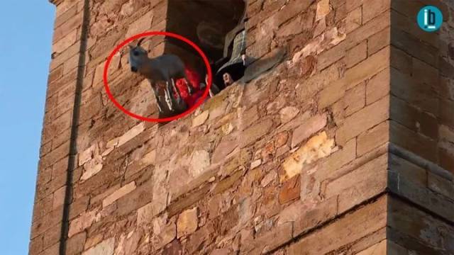 美女虐杀动物成产业链,人类何曾对动物温柔以