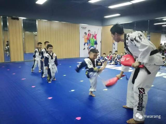花郎武道体能 跆拳道首届晋级考试 精彩回放