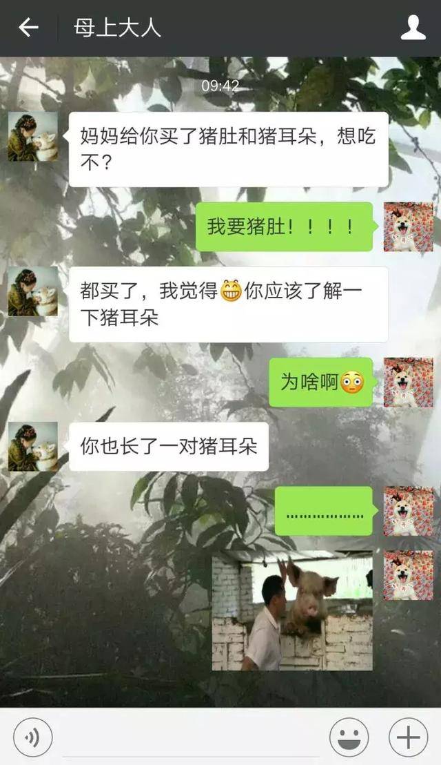 细思极恐的聊天对话,你敢一个人看完么?