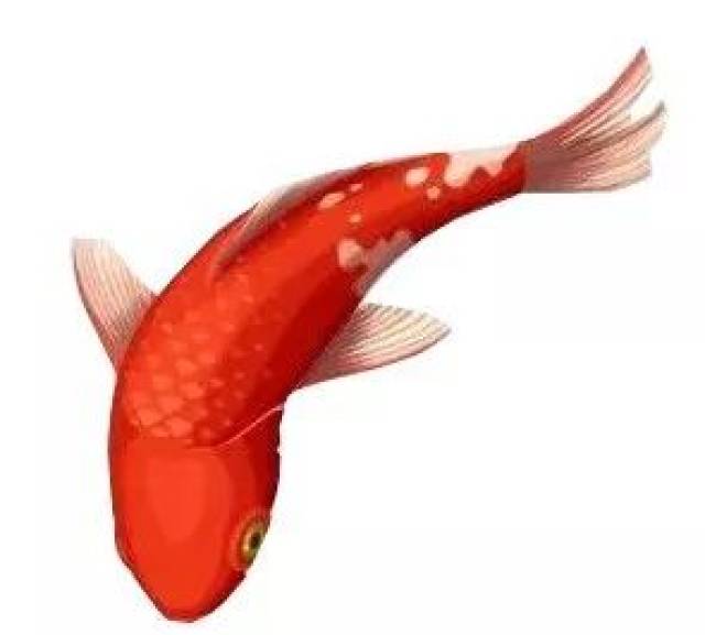 【评论送书】“民法学界大隐之士”阿戴