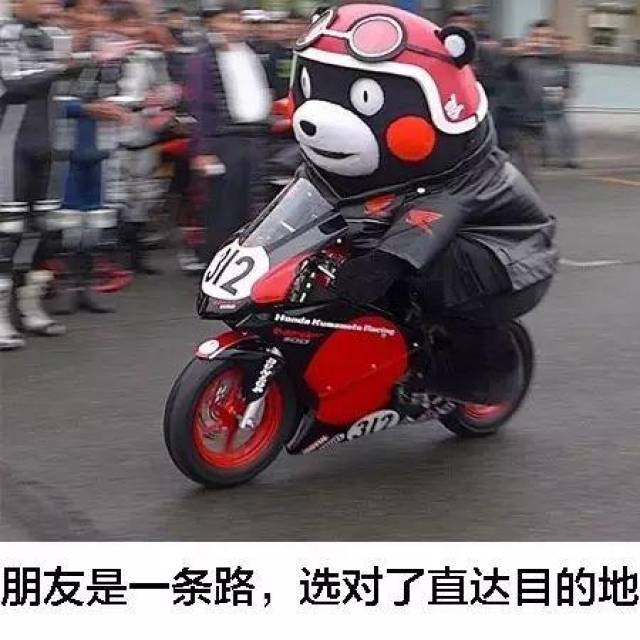 如果男人是条狼,那么女人就是条蛇【表情包】