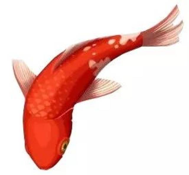 【评论送书】“民法学界大隐之士”阿戴