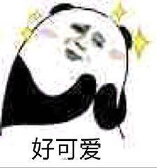 熊猫头撩妹的表情包:baby,i love you