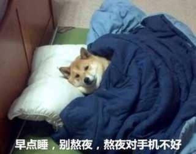 表情包早点睡别熬夜熬夜对手机不好