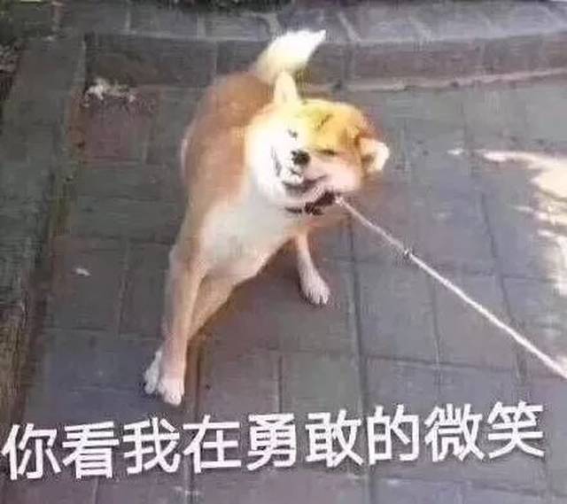 除了厦门北站可与地铁“无缝对接”外,这些铁路春运资讯你必须了