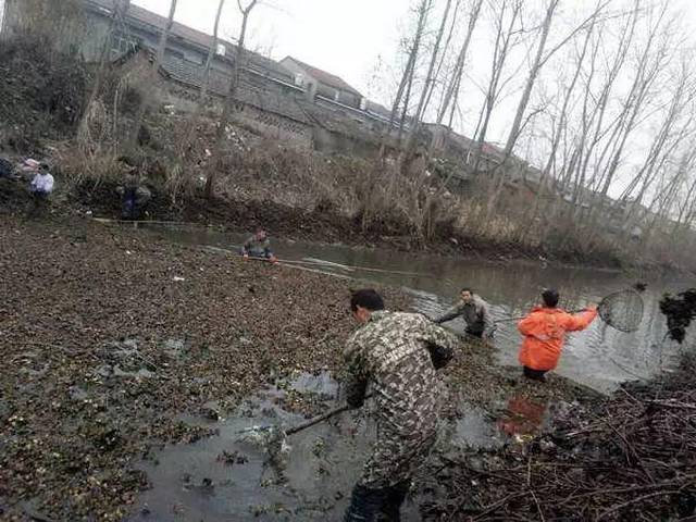 沙口镇