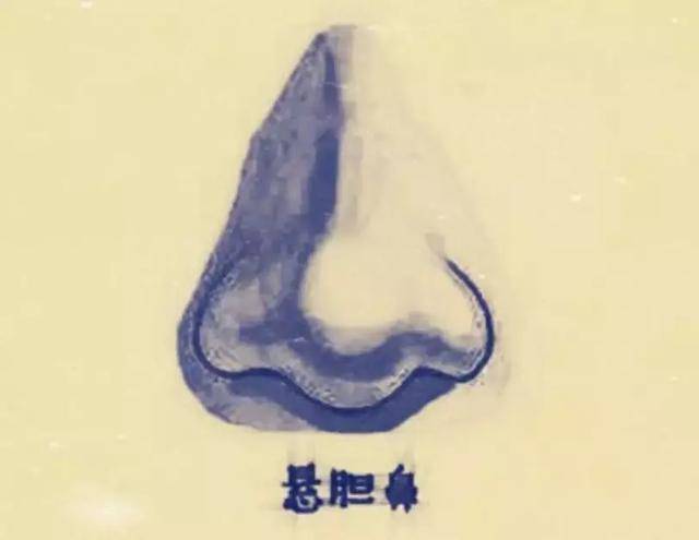 古代还喜欢用鼻如悬胆来形容漂亮的鼻子, 在相学里面,悬胆鼻是指鼻子