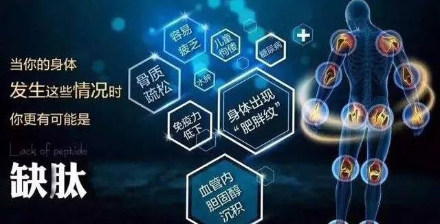 您可放心选择的小分子活性肽