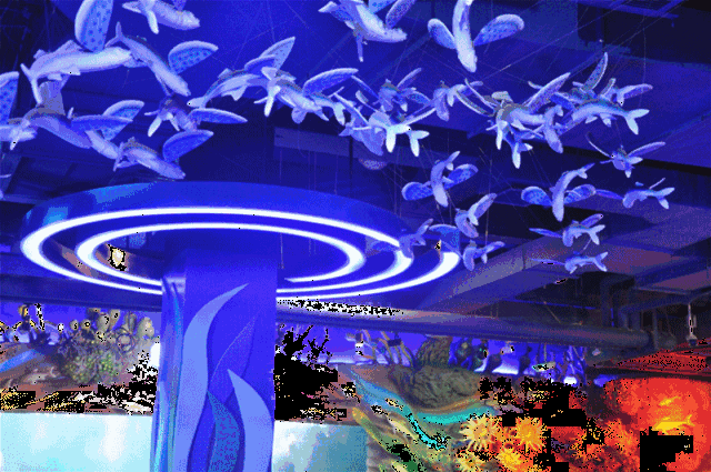 壁纸 海底 海底世界 海洋馆 水族馆 640_425 gif 动态图 动图