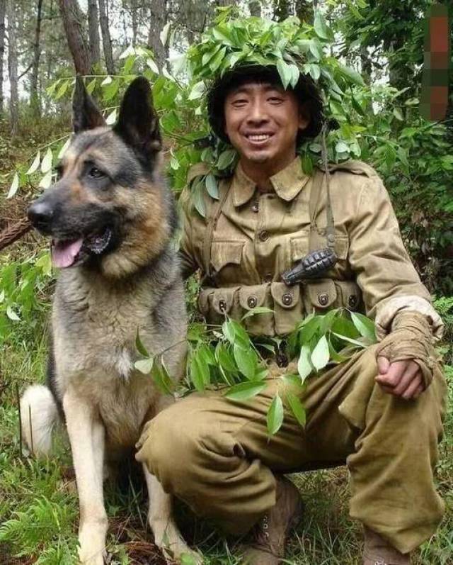 no.3杜宾犬