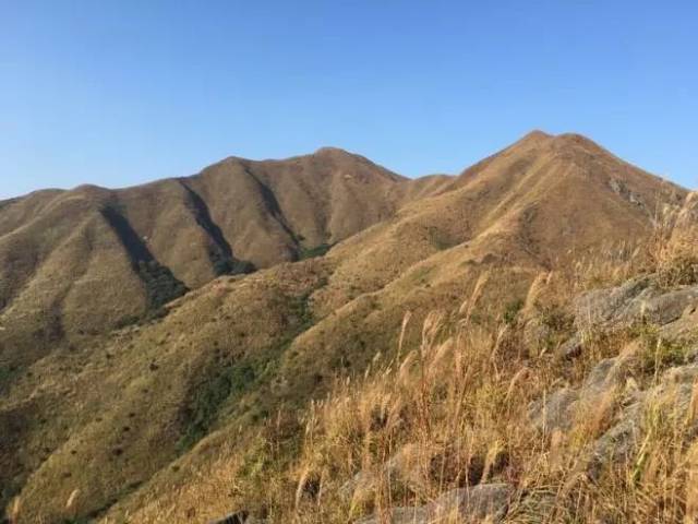 【万时山】1月20日(周日"一脚踏三省"仁化万时山,赏南国最大的高山