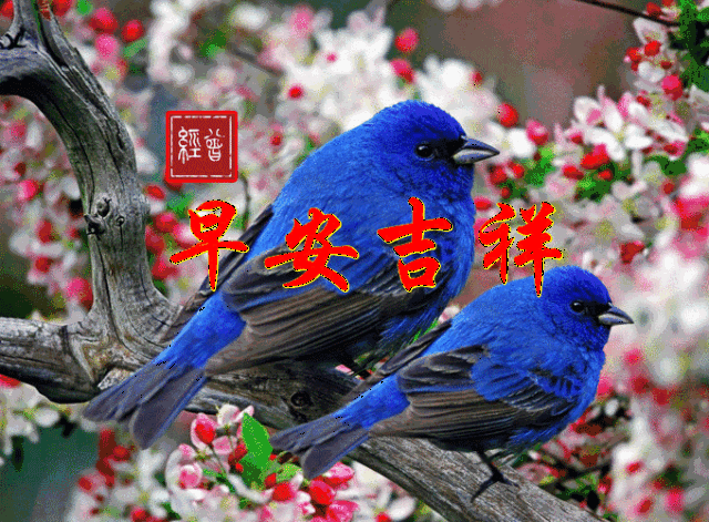 2019正能量早安语录 早安心语励志简短