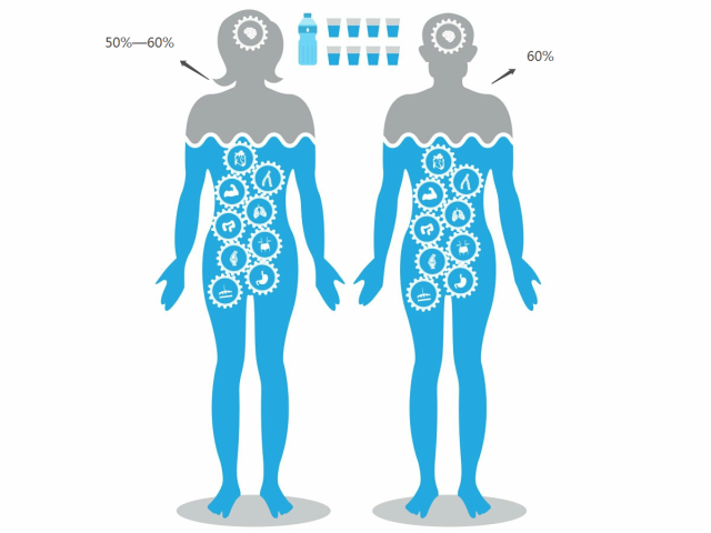 人体体液分析:人体的组成70%都是水,成年男子水分占体重的60%,女子则