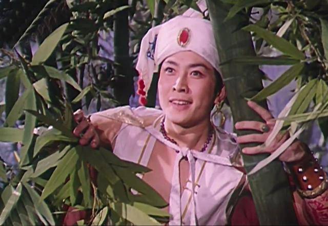 唐国强1975年因出演《南海风云》而出道,1979年因主演电影《小花》而