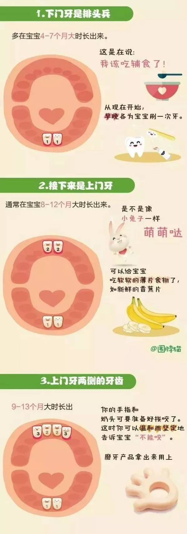 小欧育儿||宝宝出牙顺序图,你家宝宝也是这样吗?