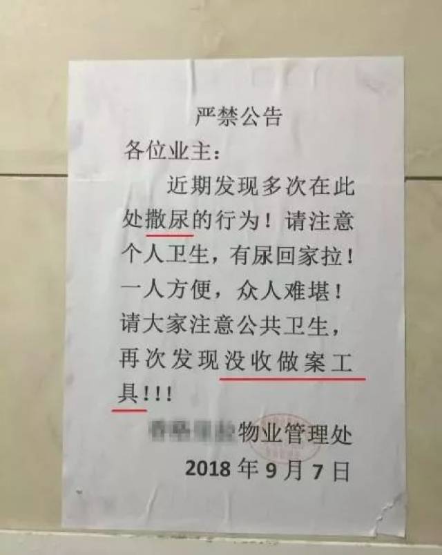 随地小便,神木人的尿性不改怎么办?要不要以其人之尿还治其人之身?