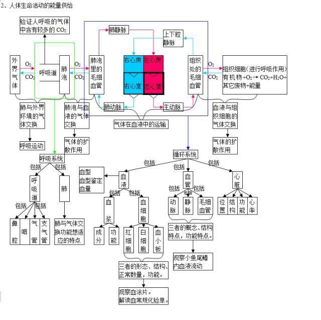 22张初中生物知识思维导图,期末考试结束不可怕,查漏补缺就好!