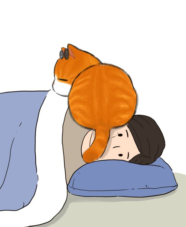 一日养猫,终生为奴, 想用暴力征服一只猫? 哦呵呵,你知道结果的