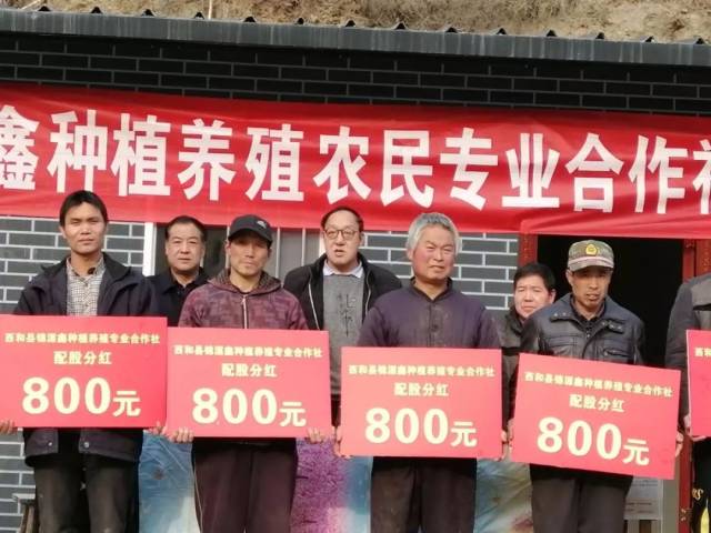 西和县恒久种植养殖农民专业合作社举行分红大会