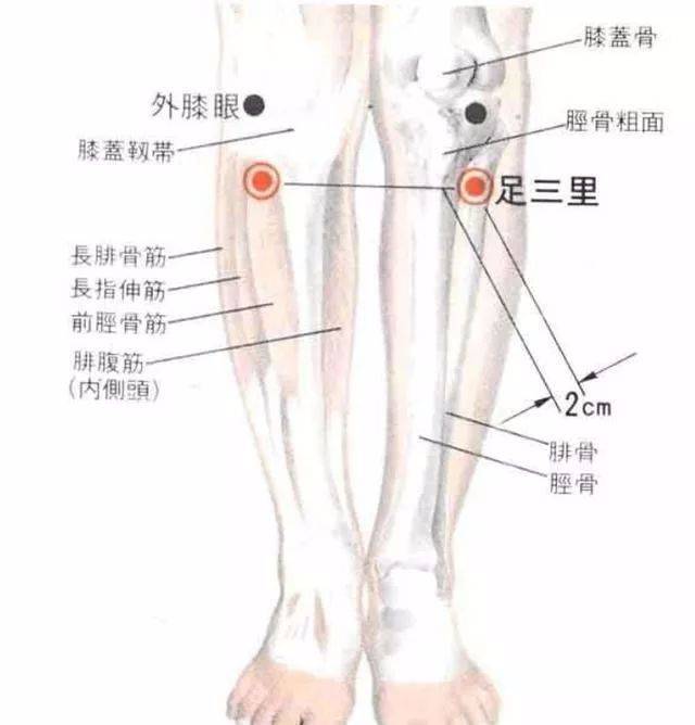 人体常见50个穴位位置,作用,按摩手法,图文取穴,纯干货