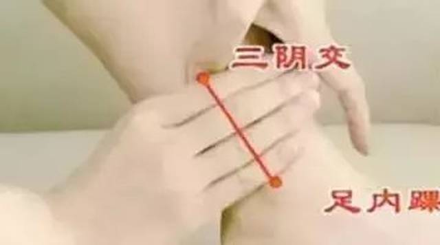 肾是先天之本的功效 1d5ac0985c0540269c970ed3816e5d4f.jpeg