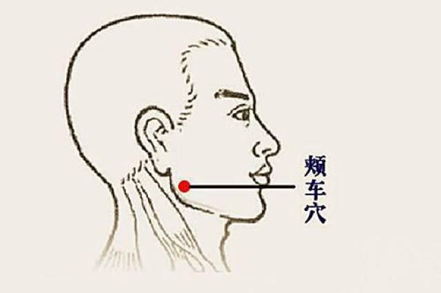 按摩颊车穴位的作用与功效