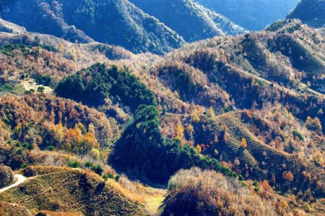 1月19日穿越千年,古道漫步,蓝关古道-虎头山休闲穿越