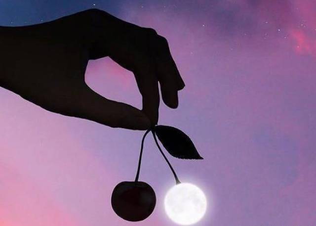 经典佛系语录,每一句都触碰心灵,很有内涵!