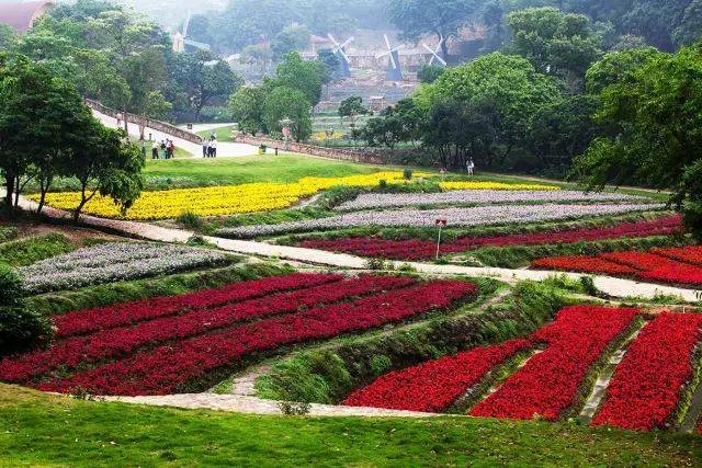 【召集1天】1月周六,日出发 增城|二龙山花园,小楼人家休闲一起赏花去