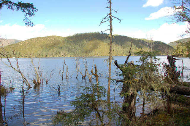 谢娜和张杰当年结婚的香格里拉普达措有多美,