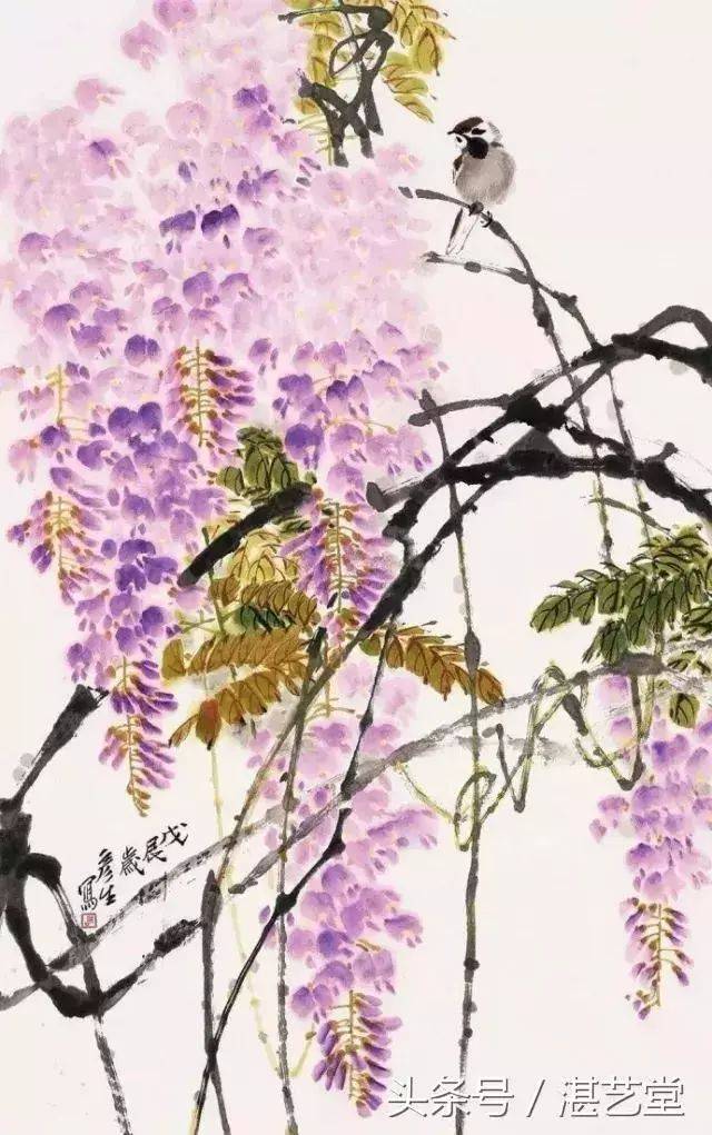 正是紫藤花开时 紫藤画法步骤详解