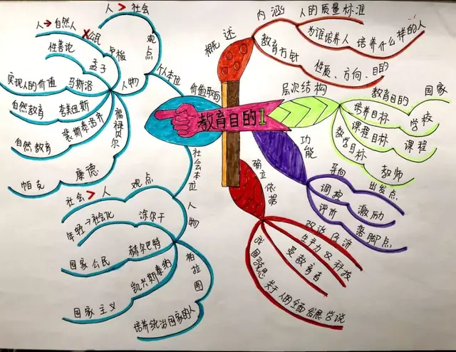 思维导图——让教综学习成为一件有颜值,更有思考的乐事