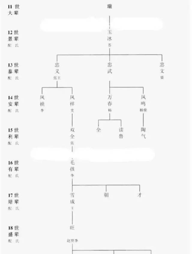 家谱格式大类比