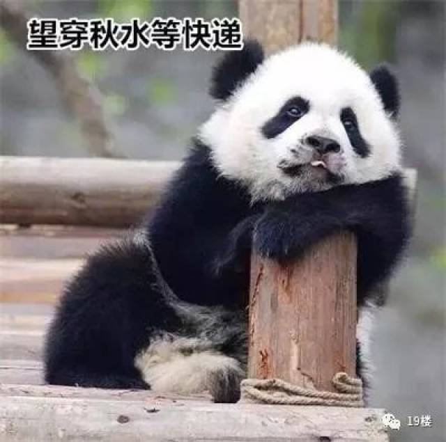 是不是你有货,我有钱,中间没有快递员的日子马上就要到了?