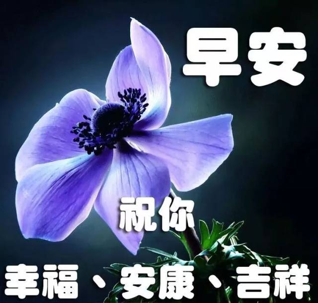 84db4928fa4047fe83657ac83b50ca32.jpeg