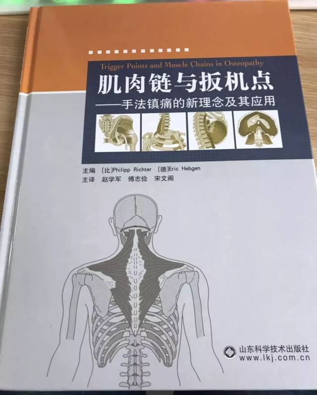 书籍推荐丨肌肉链与扳机点手法镇痛的新理念及其应用