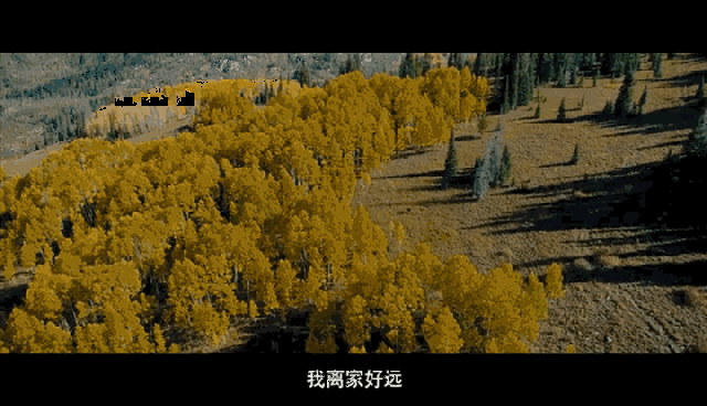 【公布】《一条狗的回家路》中奖名单