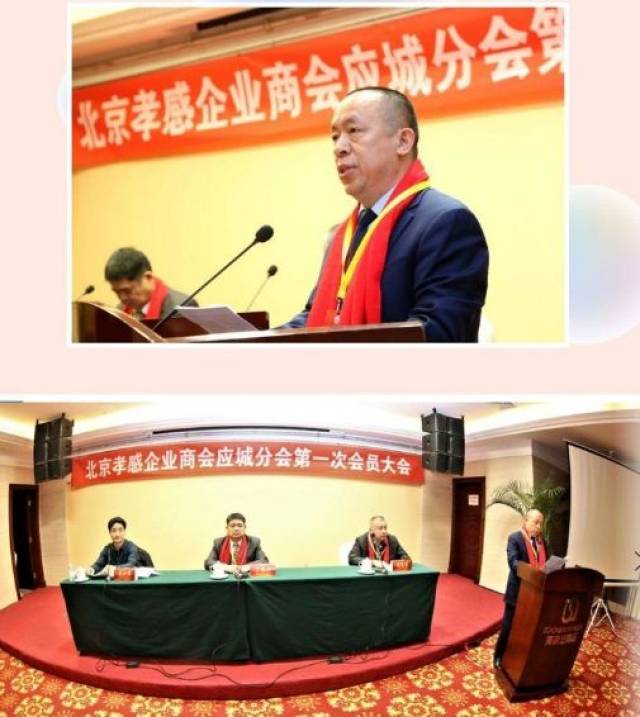 【头条】2019北京孝感企业商会应城分会成立大会暨招商推介会(组图)