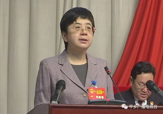 平乡县第十六届人民代表大会第三次会议开幕