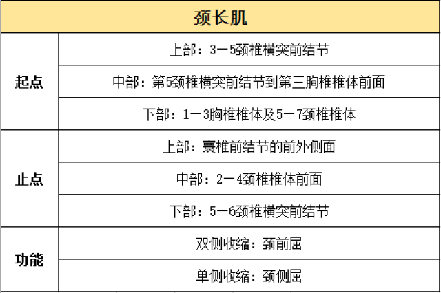 解剖知识|颈部肌肉前群汇总