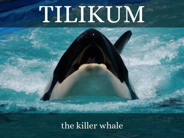 囚禁100个“孩子”后卖给中国?全球最残忍监狱仍在营业:今夜,