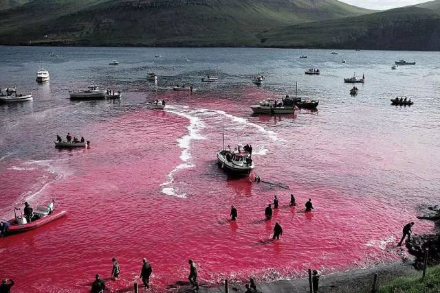 囚禁100个“孩子”后卖给中国?全球最残忍监狱仍在营业:今夜,