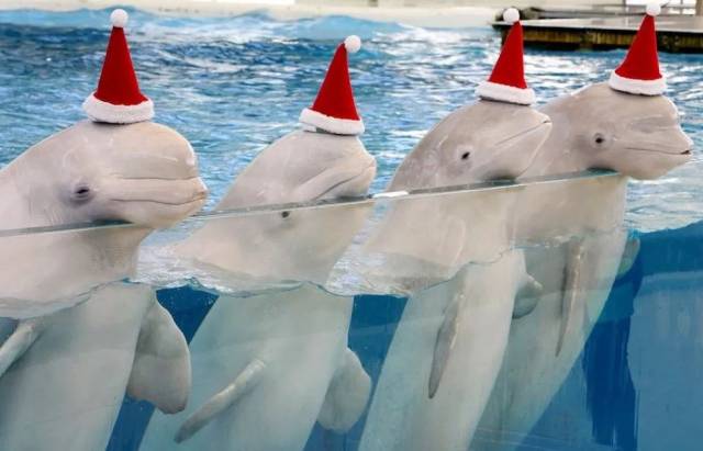 囚禁100个“孩子”后卖给中国?全球最残忍监狱仍在营业:今夜,