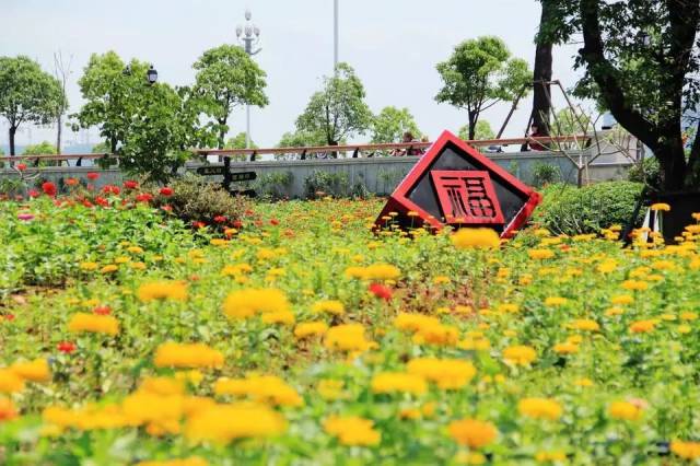 1月20日,来福州花海公园走出个红火大年吧!