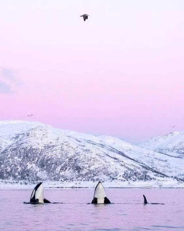 囚禁100个“孩子”后卖给中国?全球最残忍监狱仍在营业:今夜,