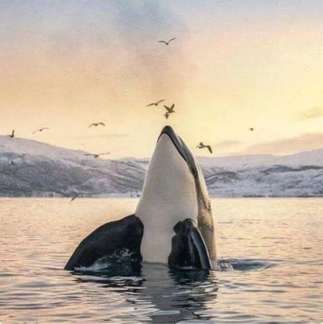 囚禁100个“孩子”后卖给中国?全球最残忍监狱仍在营业:今夜,