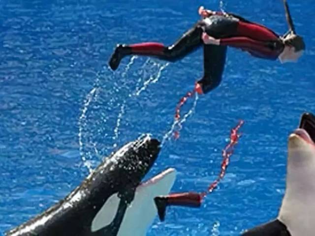 囚禁100个“孩子”后卖给中国?全球最残忍监狱仍在营业:今夜,