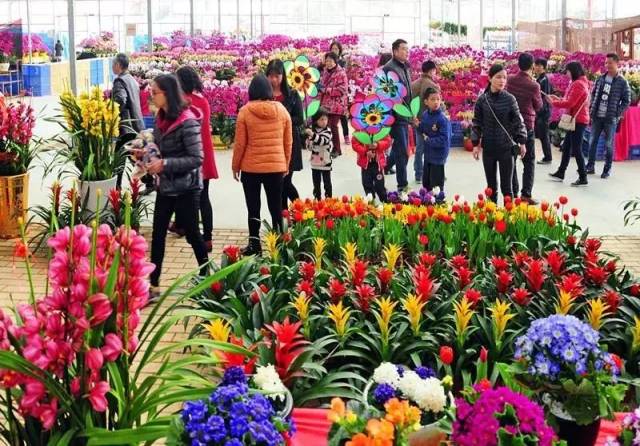 小编从区花市办了解到,花都区将在花卉之都园区内举办2019年花都区