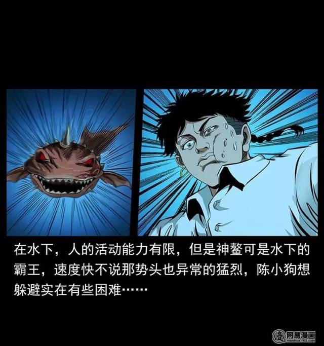 仙家山| 神鳌霸气侧漏!